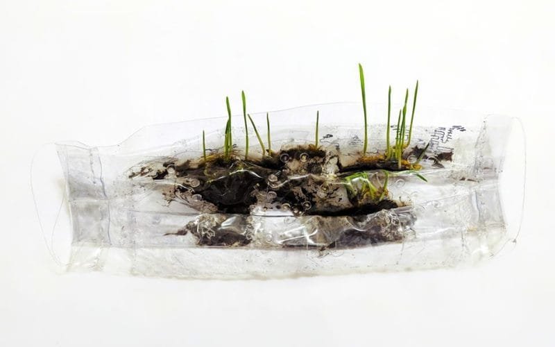 Andreea Medar_28.03.2020