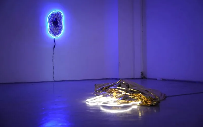 I Lived Less Than I Remember, artiști: Teodor Buruiană & David Farcaș, curator: Marga Baciu, Cosmic House Gallery