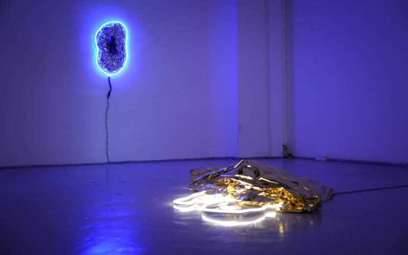 I Lived Less Than I Remember, artists: Teodor Buruiană & David Farcaș, curator: Marga Baciu, Cosmic House Gallery